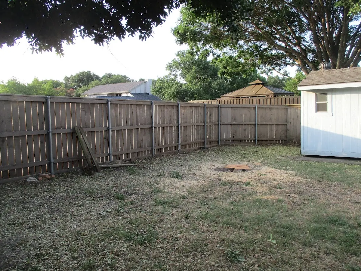 Cleared yard after professional tree removal in Mannsville