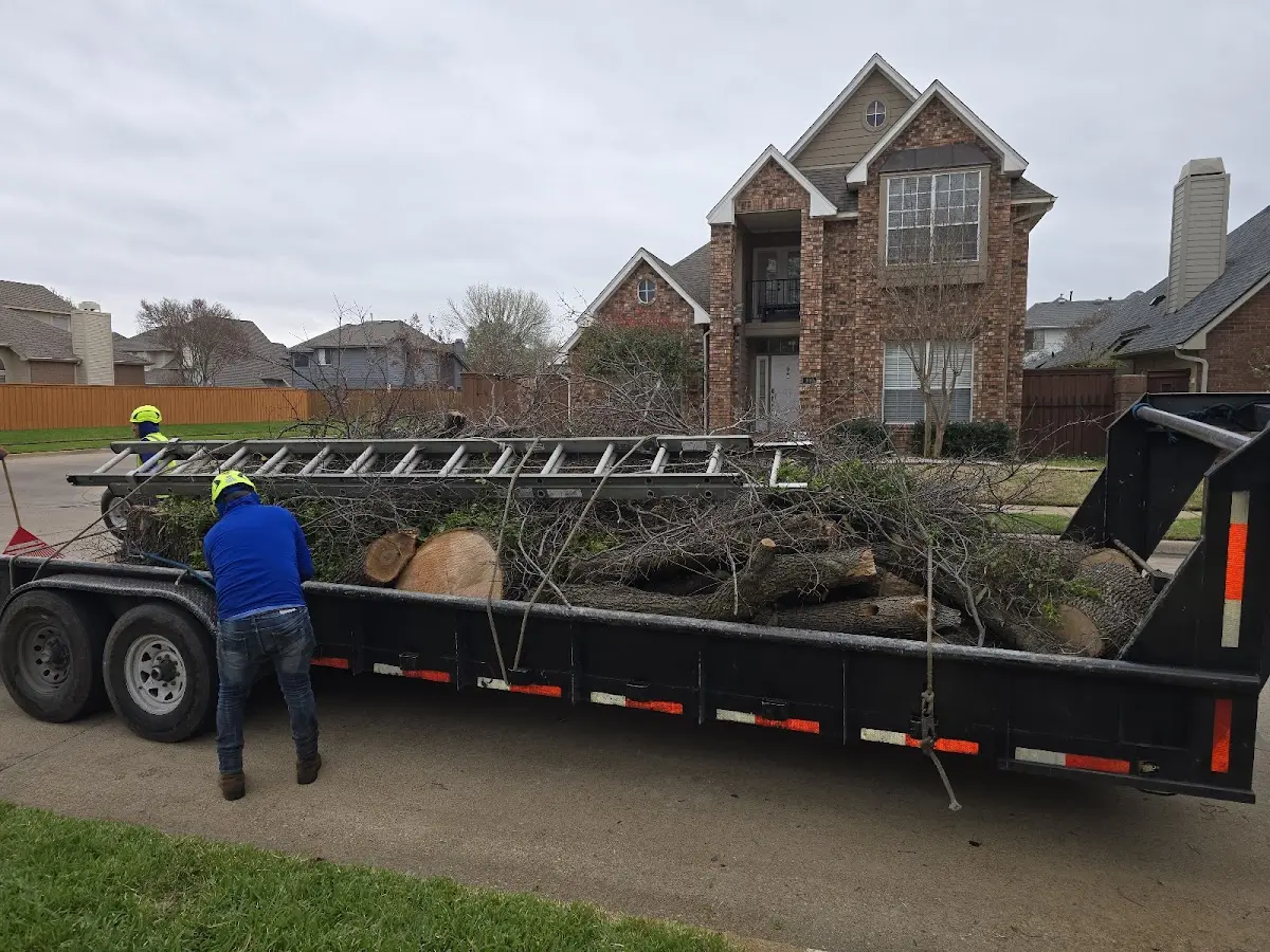 Expert Lot Clearing with proper safety equipment in Mannsville